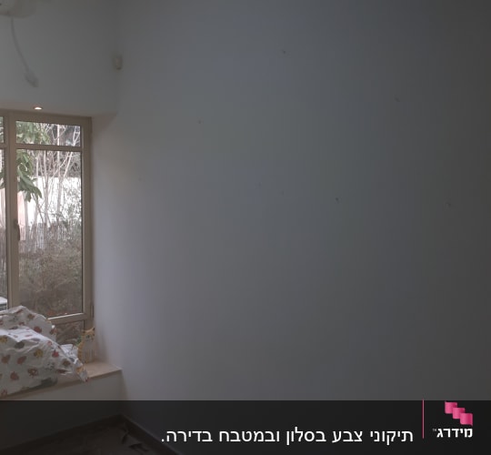 קיר צבוע עם יריעת מגן על הרצפה